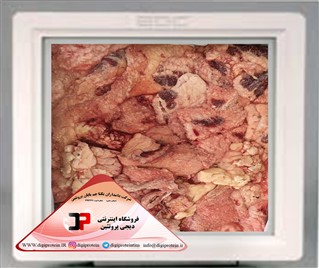چربی بدن گوساله تازه عمده